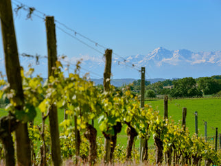 Get-together-with-Plaimont-wines Adnams PLC