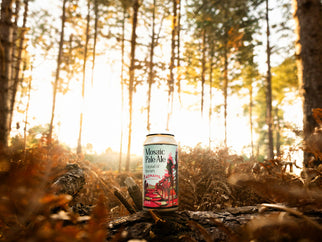 Rebranding Mosaic Pale Ale. Where the forest meets the beach.